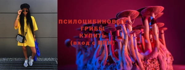 PSILOCYBIN Елизово