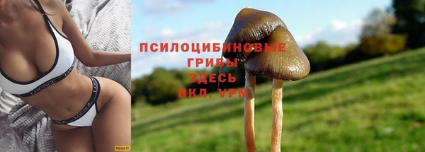 дмт Армянск