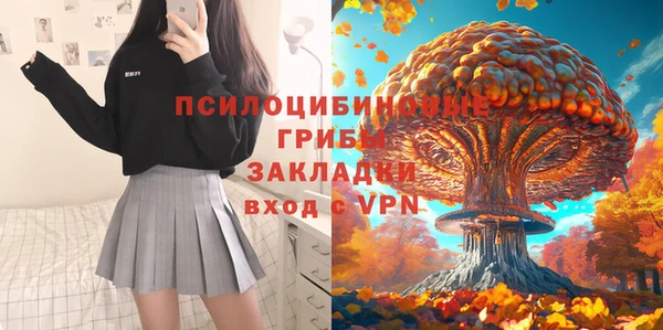 дмт Армянск