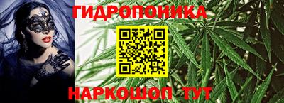 гидропоника Новозыбков