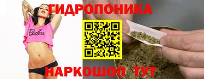 гидропоника Новозыбков