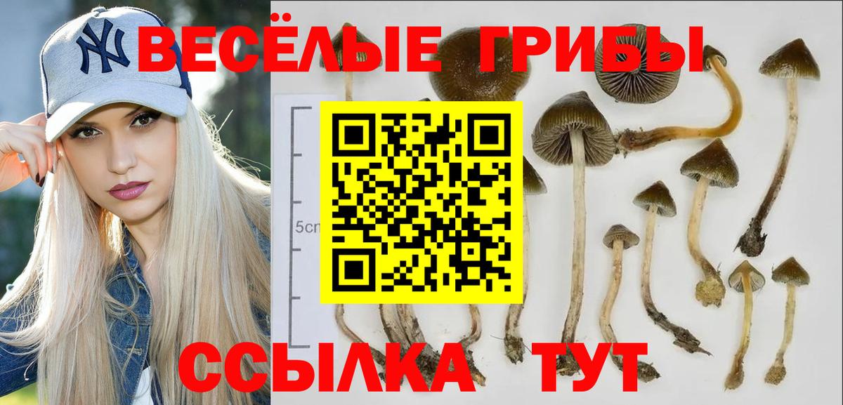Галлюциногенные грибы Magic Shrooms Рыбинск
